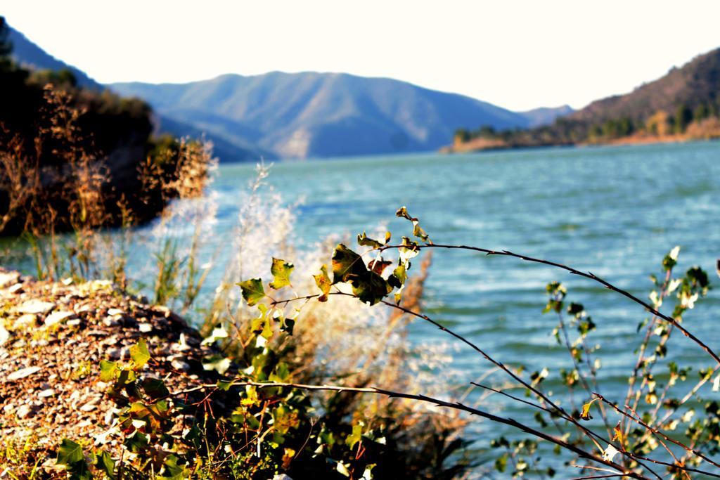 Campsite Riba-roja